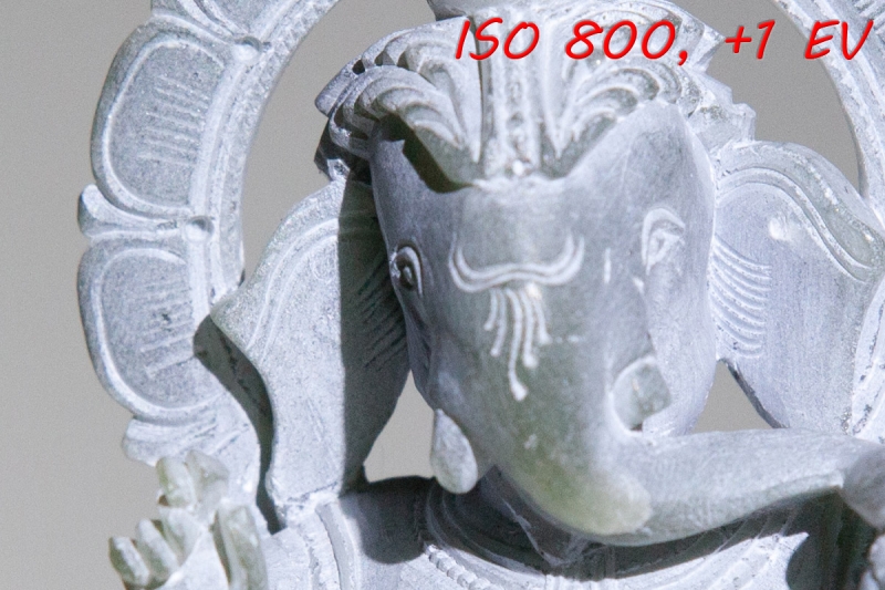 Jak funguje ISO - ISO 800, po přidání +1EV v LR, 100%